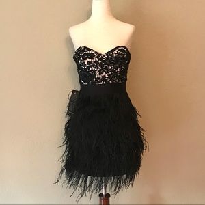 Stunning Bebe Lace Feather Mini Dress - XS - NWT